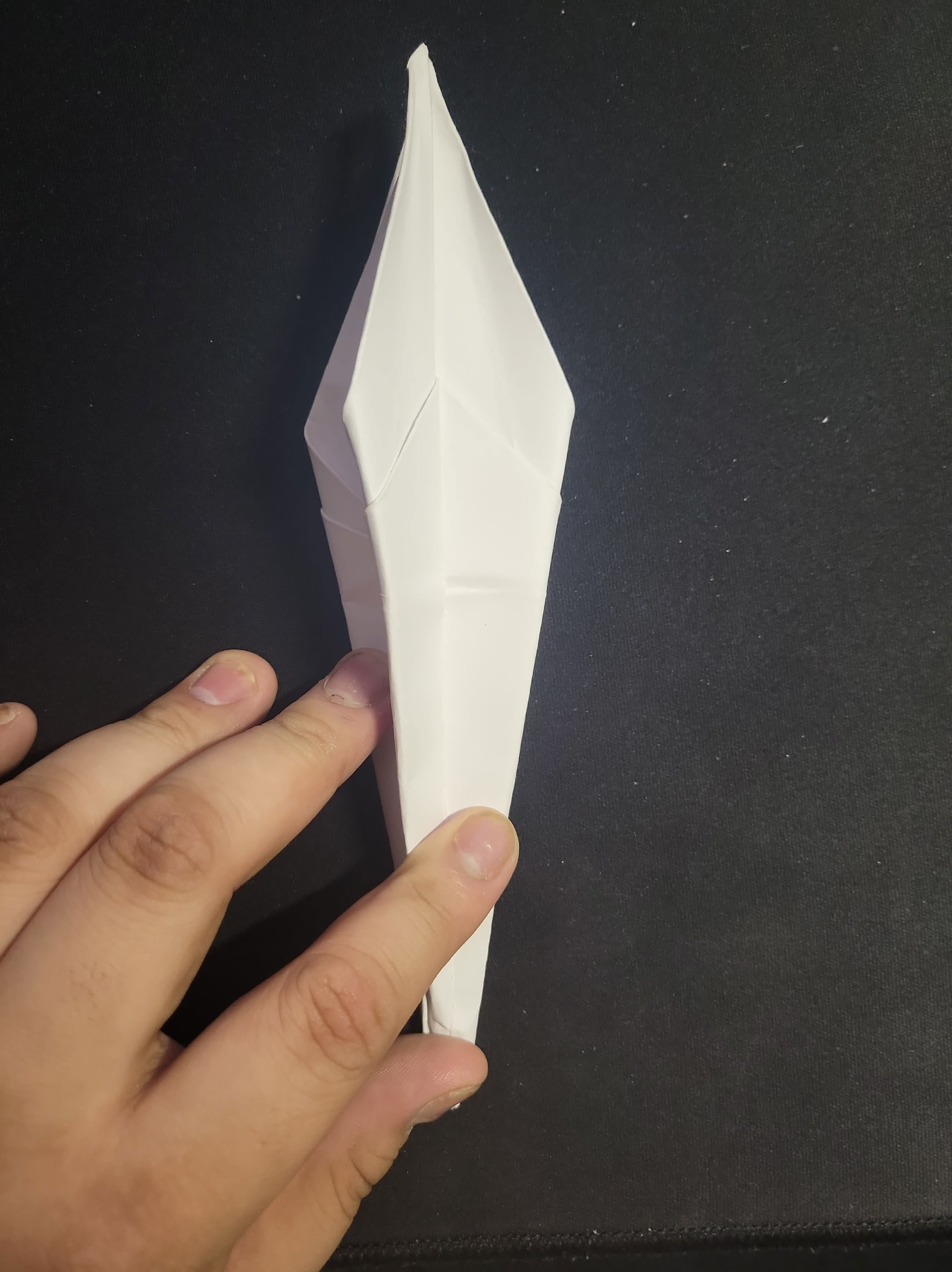 Step 10: Wolf Head Fold