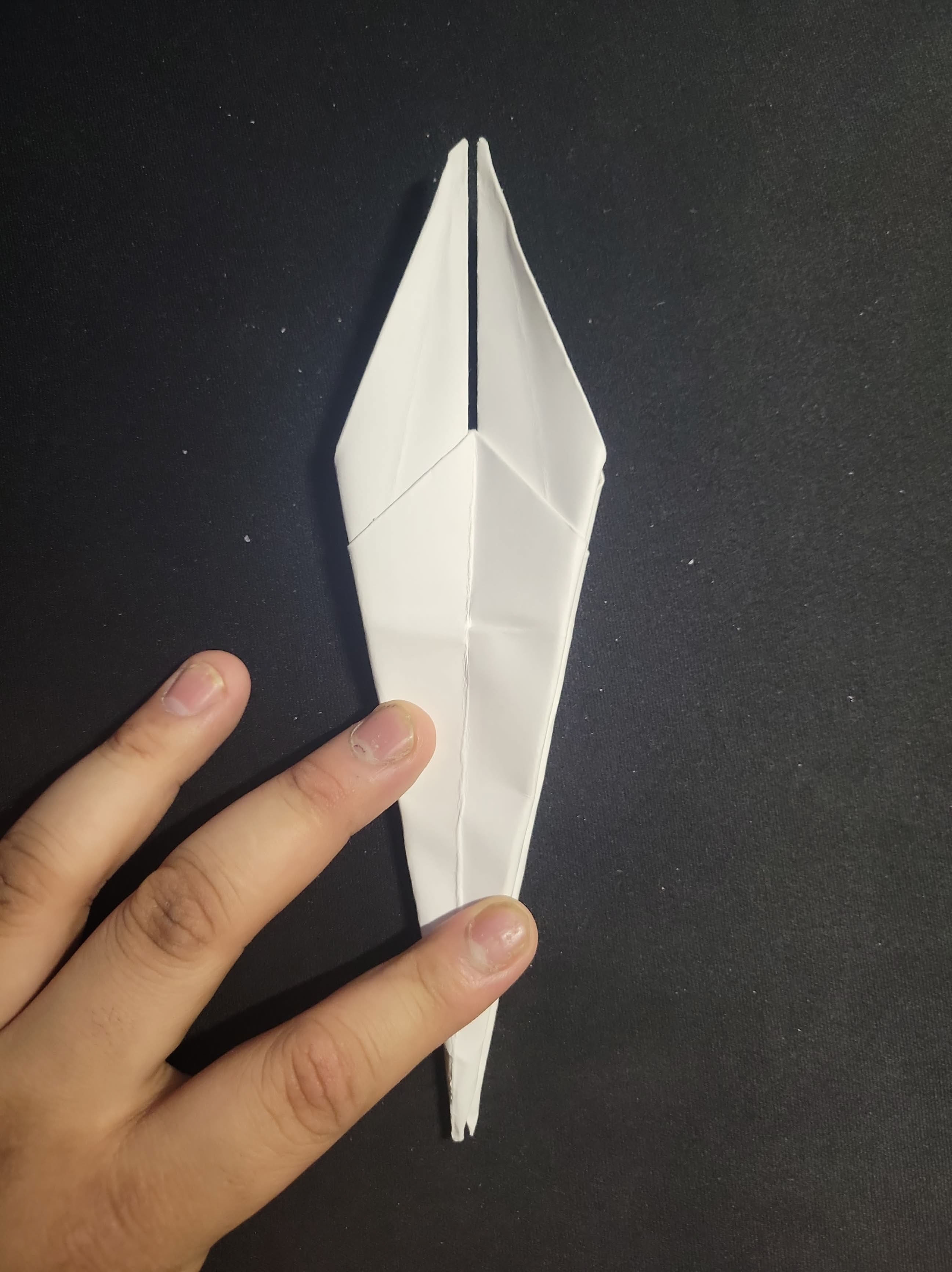 Step 10: Wolf Head Fold