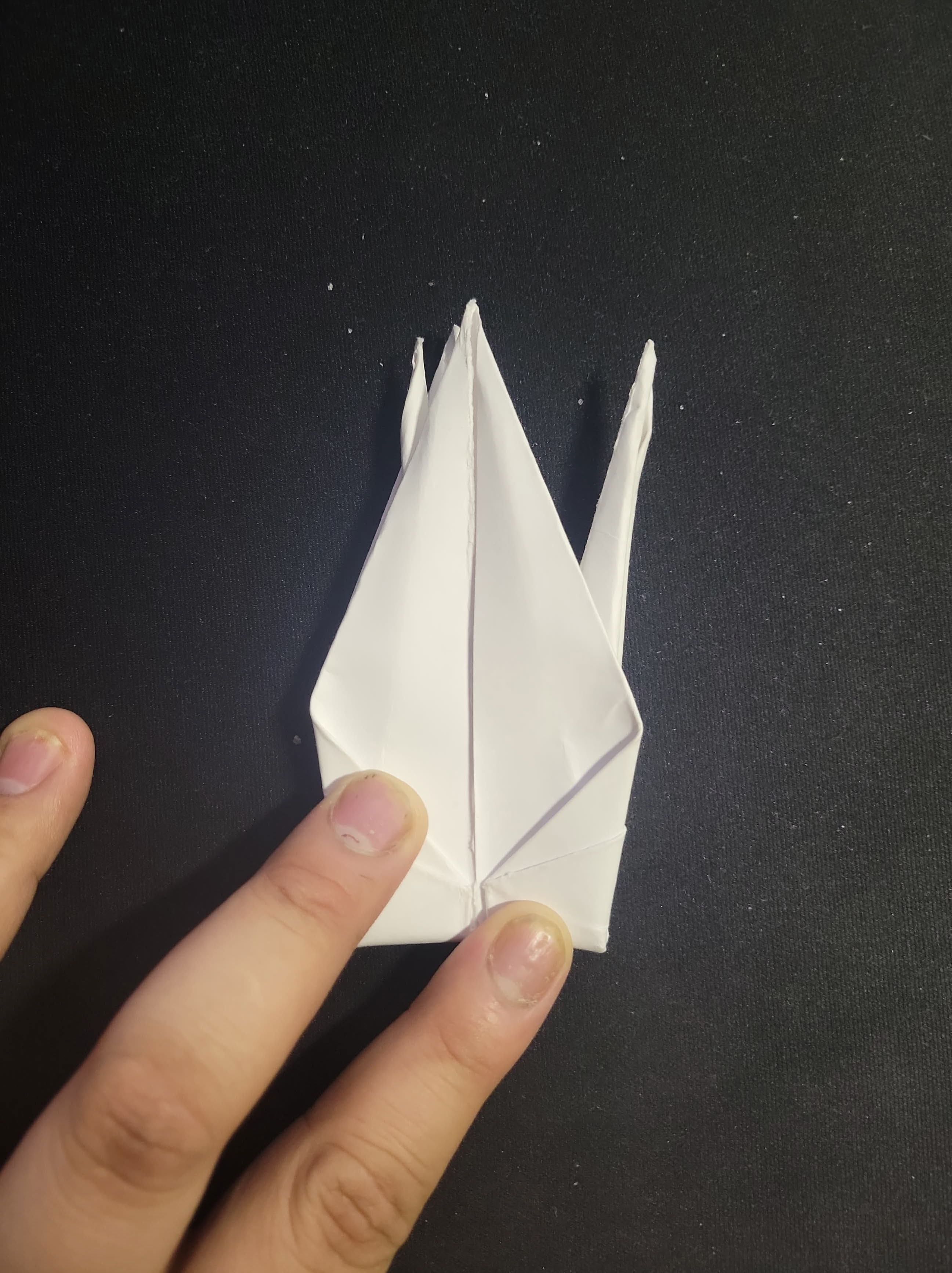 Step 13: Tail + Head Fold