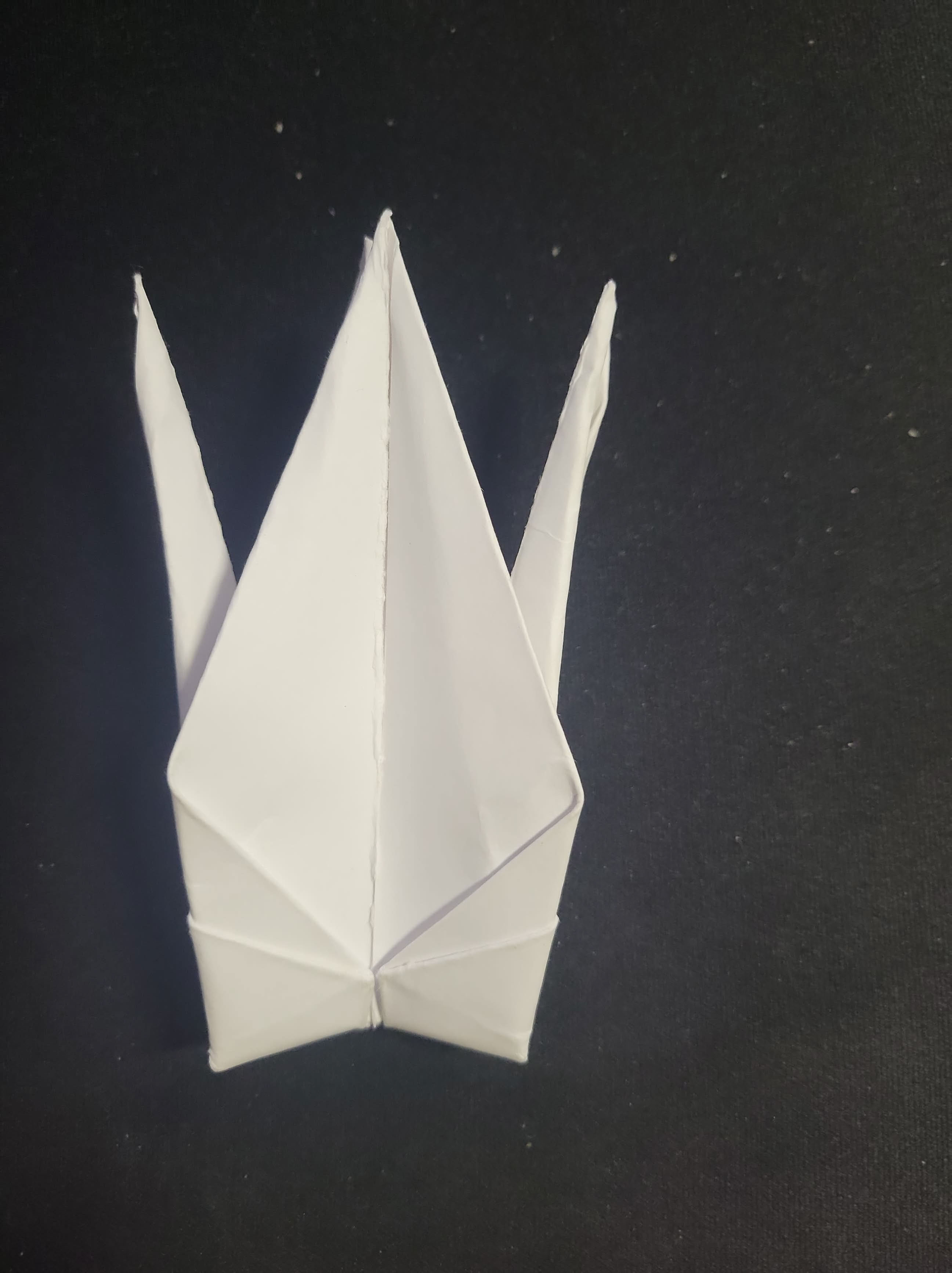 Step 13: Tail + Head Fold