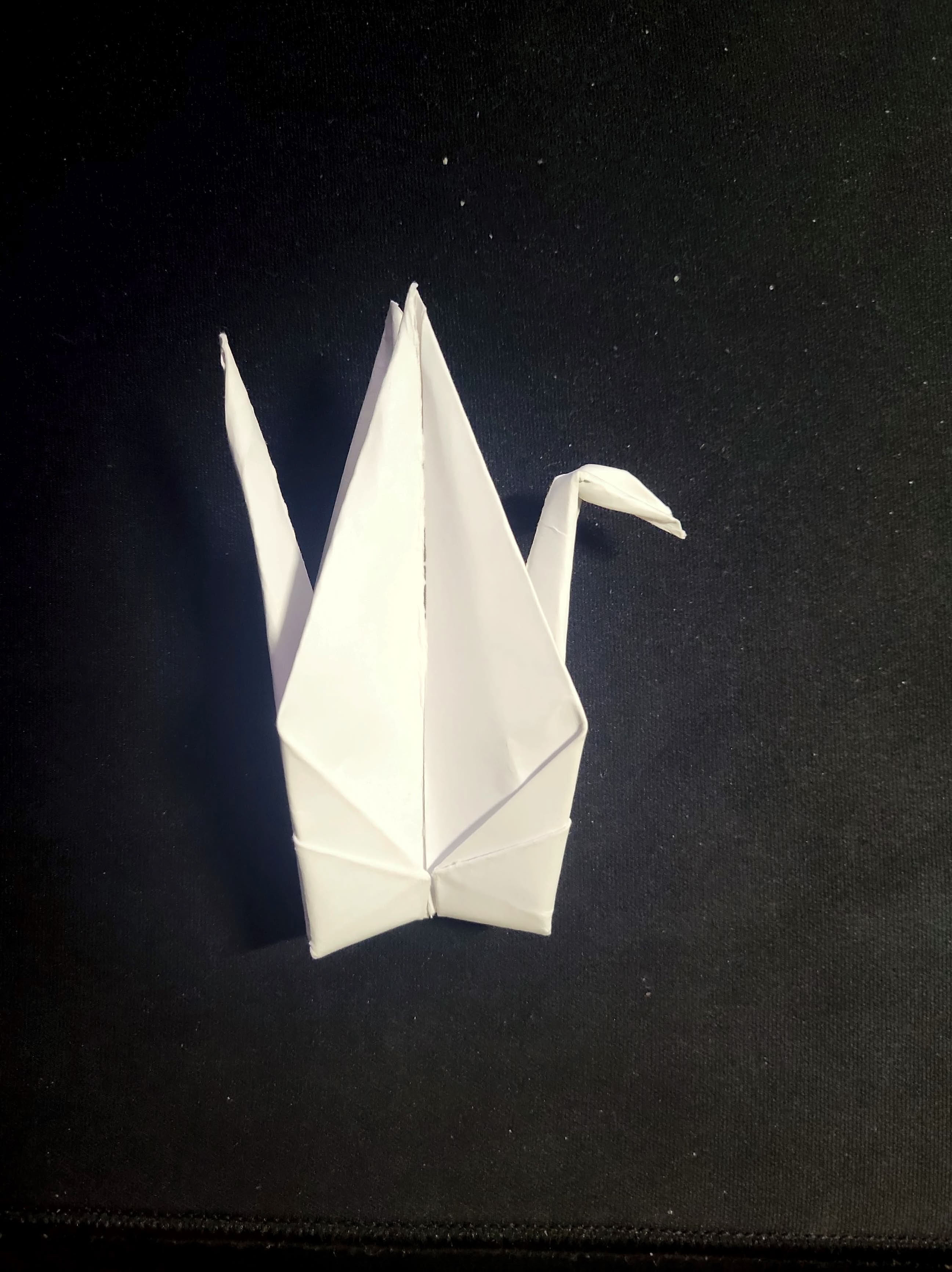 Step 13: Tail + Head Fold