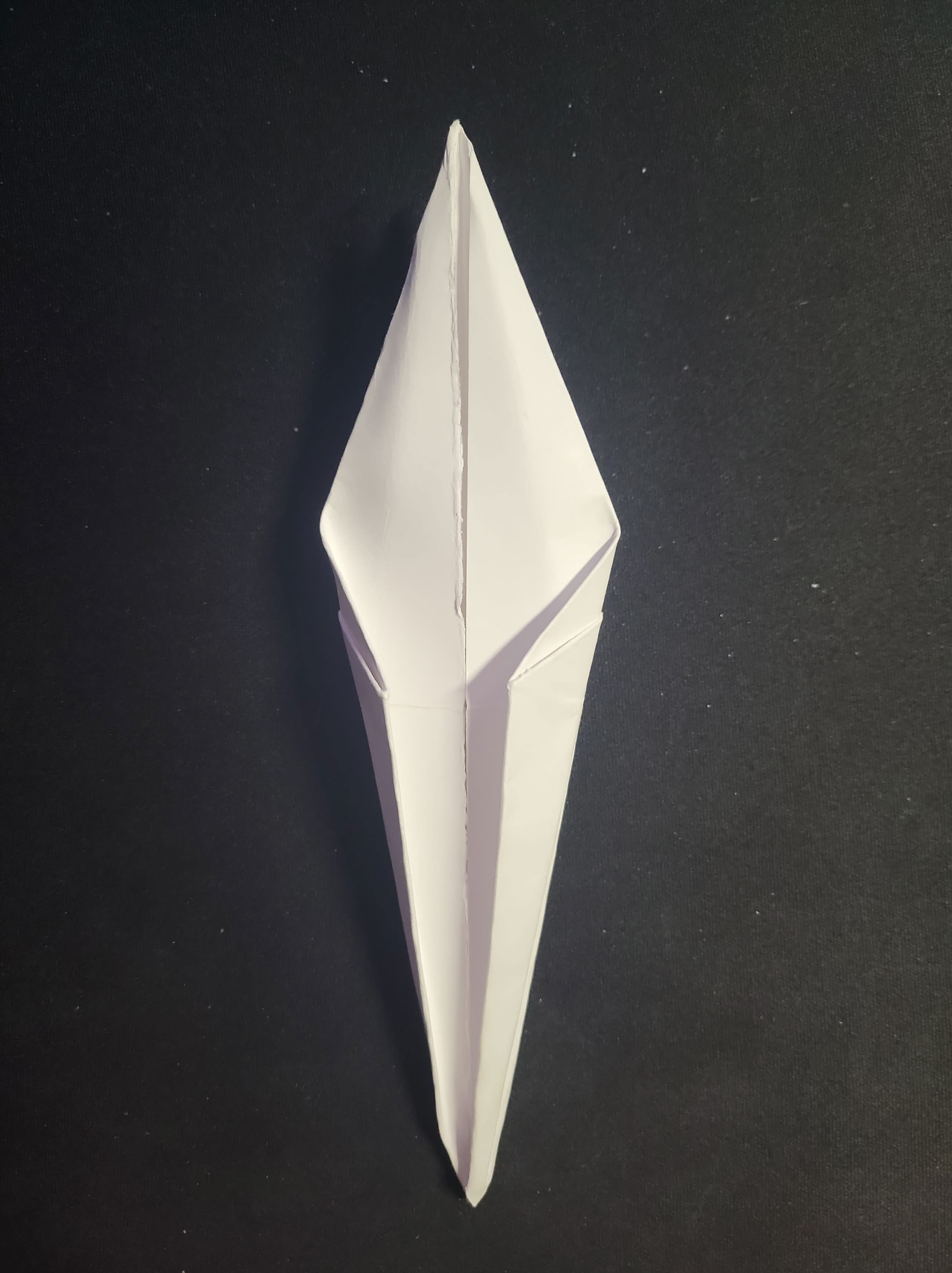 Step 9: Skinny Kite Fold